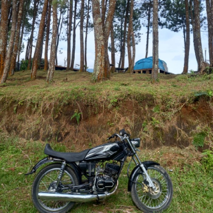 Curug cipamingkis