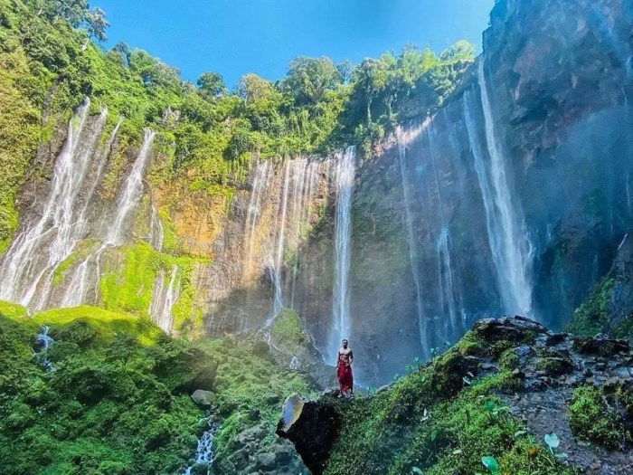 Pesona Air Terjun Lumajang Surga Tersembunyi Jawa Timur