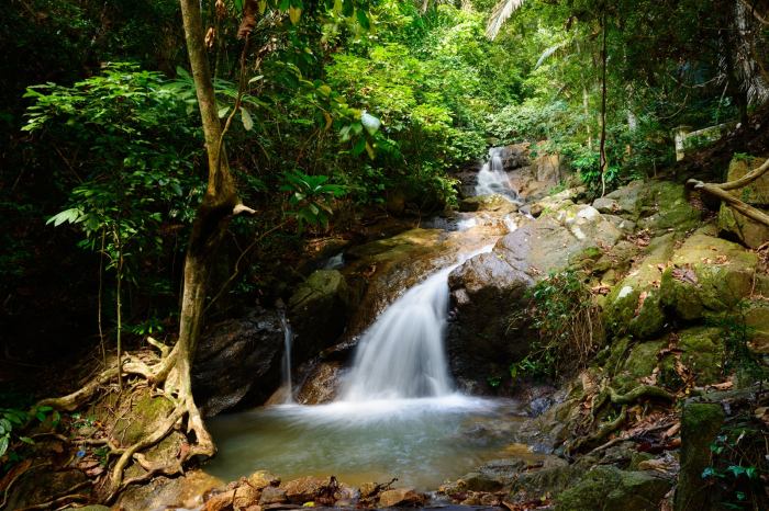 Air Terjun Pengantin Phuket Pesona Alam Tersembunyi