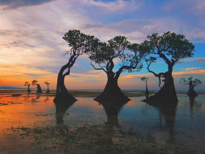 Sumba adat timur nusa tenggara pulau wisata kampung ntt budaya tengah ide dekorasi biasa kupang tempat filosofi surga jelajah khas