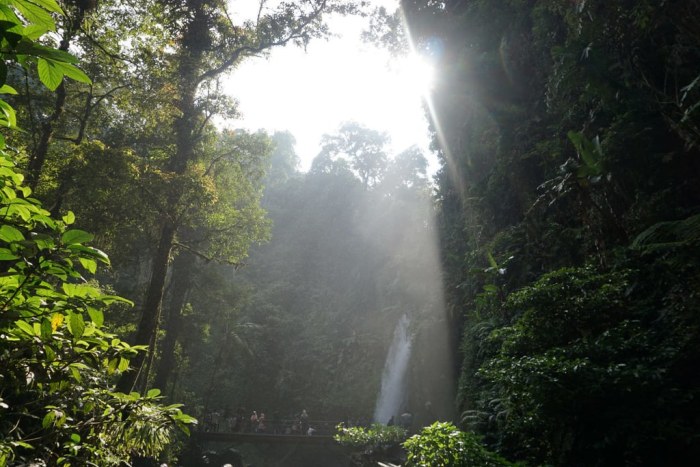 Curug sawer