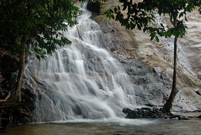 Waterfall batu kampar nature butterflies vitta fauna flora beauty