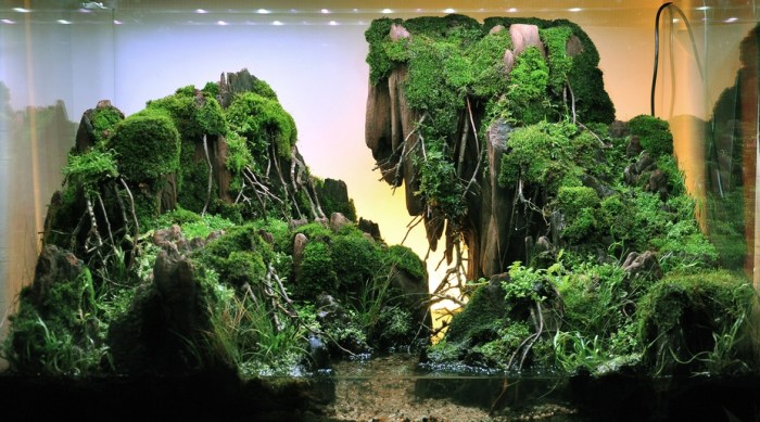 Paludarium Air Terjun Panduan Lengkap