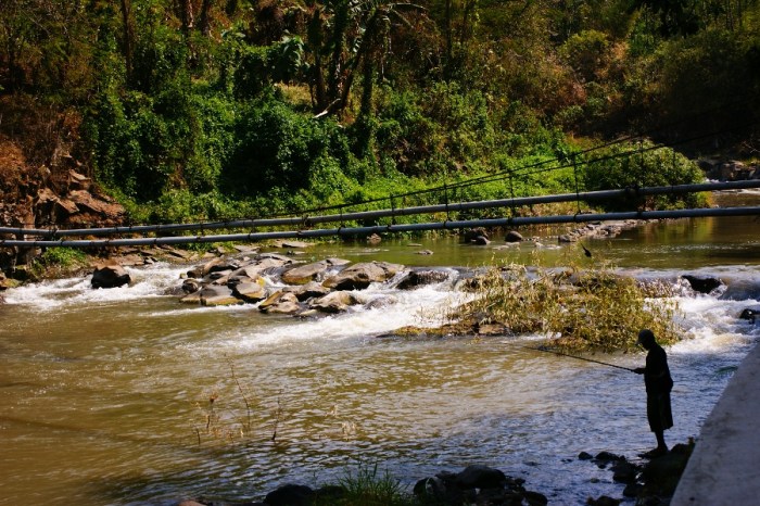 Air Terjun Kebun Raya Purwodadi Pesona Alam Jawa Timur