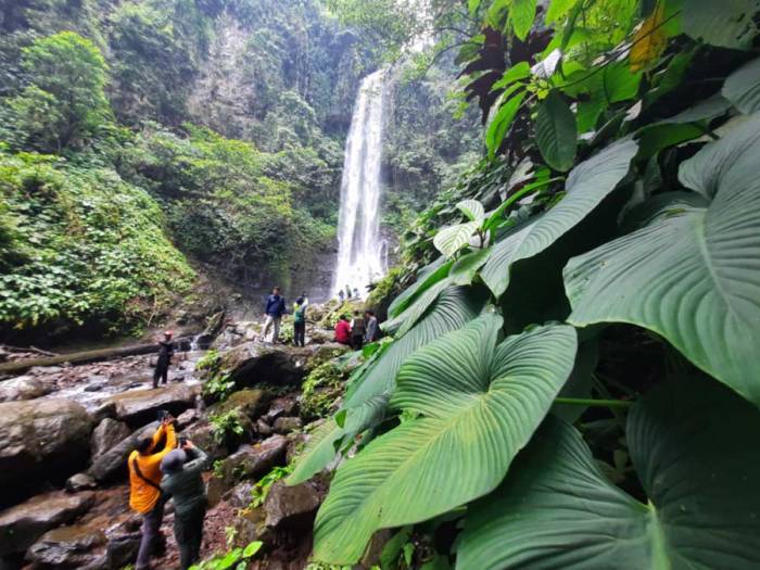 Air Terjun Way Tayas Pesona Alam Lampung