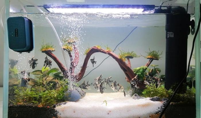 Aquascape Air Terjun Simple Panduan Lengkap