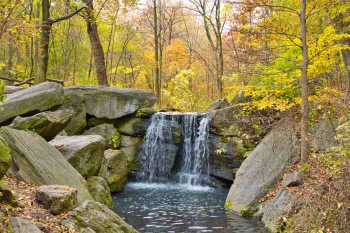 Taman Air Terjun Desain, Pembangunan, dan Ekosistem