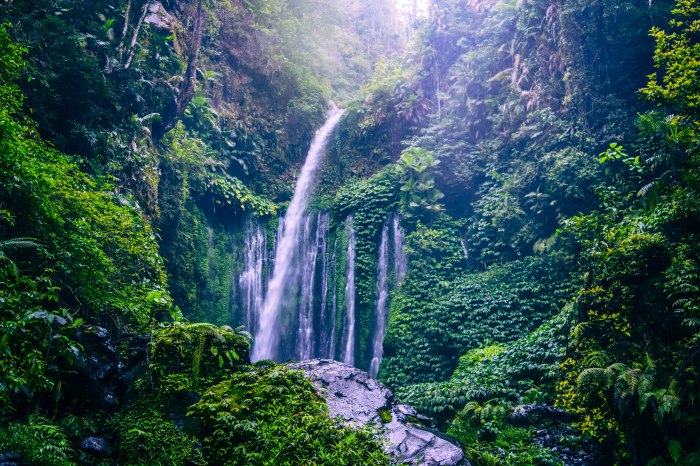 Pesona Air Terjun Lombok Timur Surga Tersembunyi