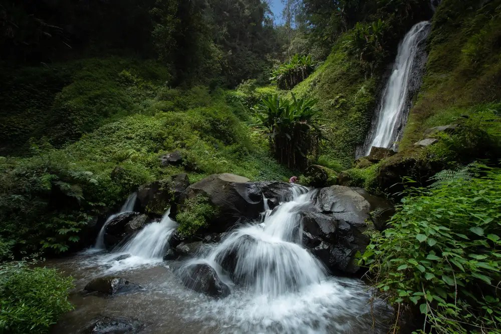 Pesona Air Terjun Trawas Surga Tersembunyi Jawa Timur