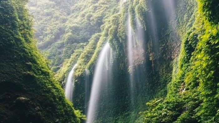 Air Terjun Dekat Bromo Panduan Lengkap