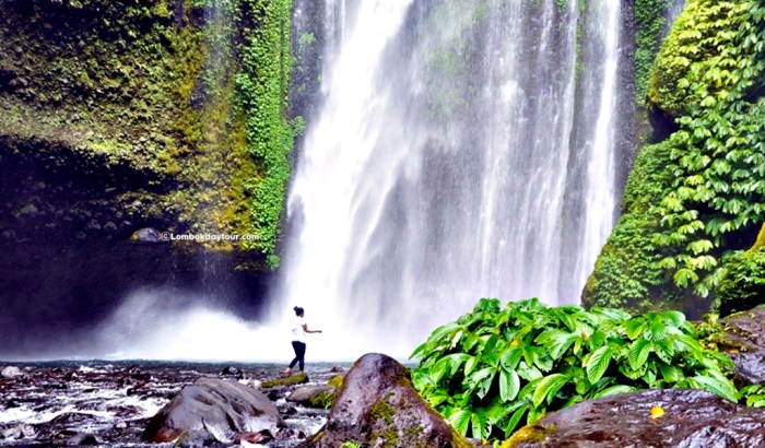 Pesona Air Terjun Rinjani Keindahan Alam Nusa Tenggara Barat