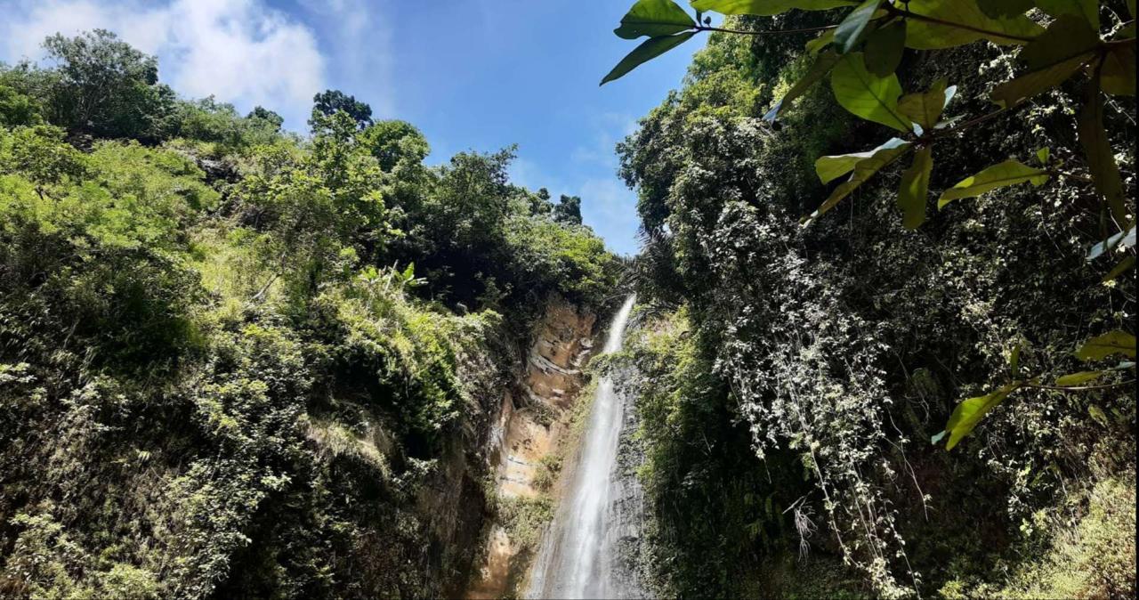 Pesona Air Terjun Sidoharjo Keindahan Alam Indonesia