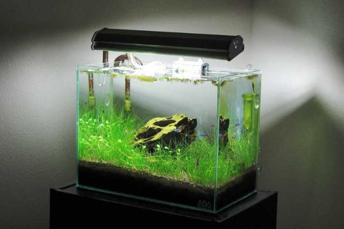 Aquascape air terjun simple