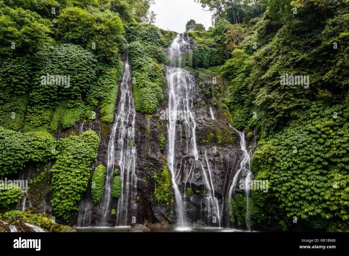 Air Terjun di Buleleng Pesona Alam Bali Utara