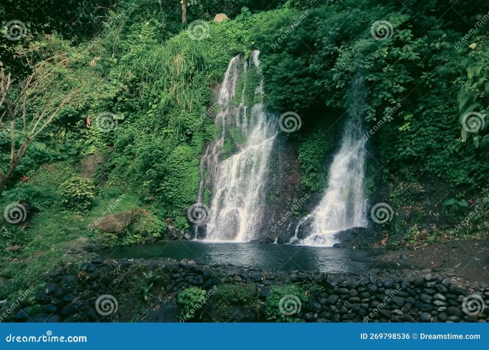 Pesona Air Terjun Banyuwangi Surga Tersembunyi Jawa Timur