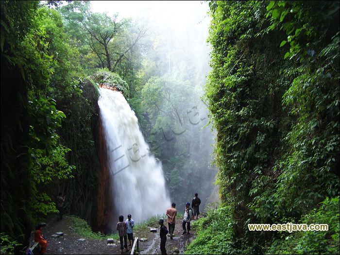 Bondowoso blawan galeri kabupaten