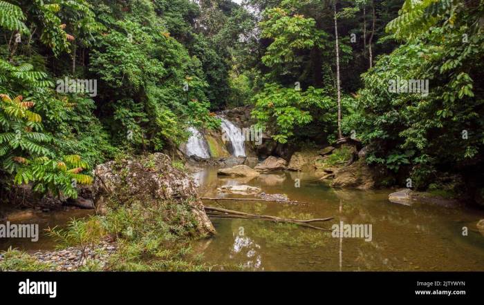 Air terjun blang kolam