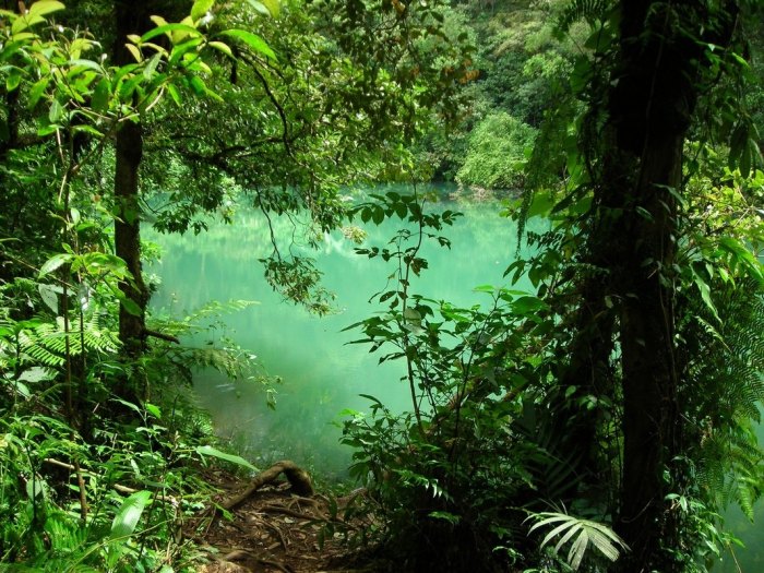 Curug cibeureum