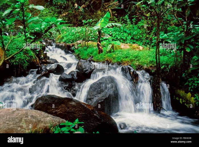 Curug cibeureum