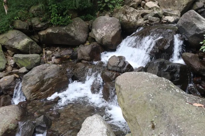 Jelajahi Pesona Curug Cipamingkis