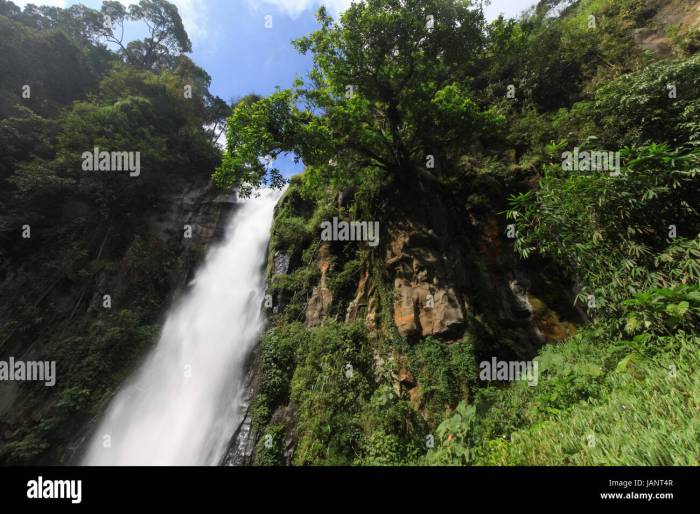 Pesona Air Terjun Sikulikap Keindahan Alam Sumatera