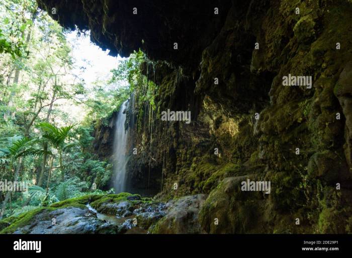 Pesona Air Terjun Blawan Keindahan Alam Banyuwangi