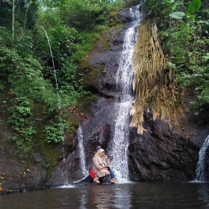 Pesona Air Terjun di Nganjuk Keindahan Alam Jawa Timur