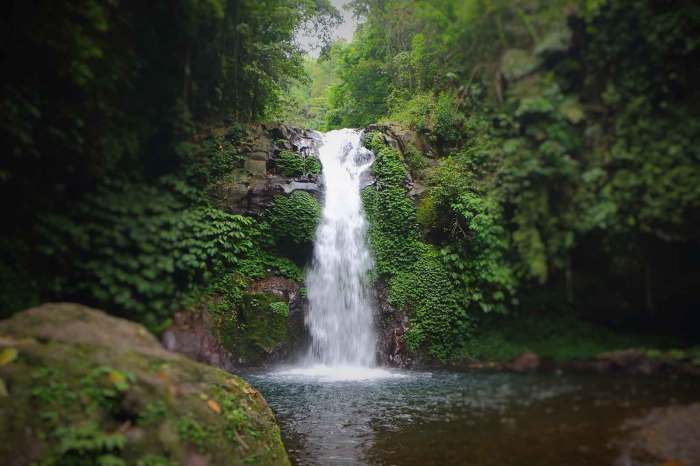 Pesona Air Terjun Gitgit, Surga Tersembunyi Bali