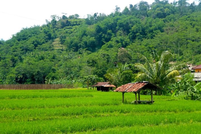 Bogor curug bidadari indoindians cikoneng