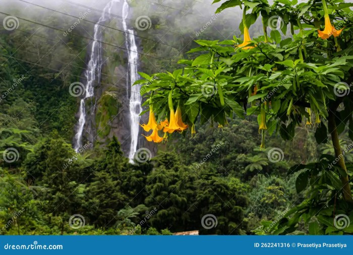 Curug sikarim