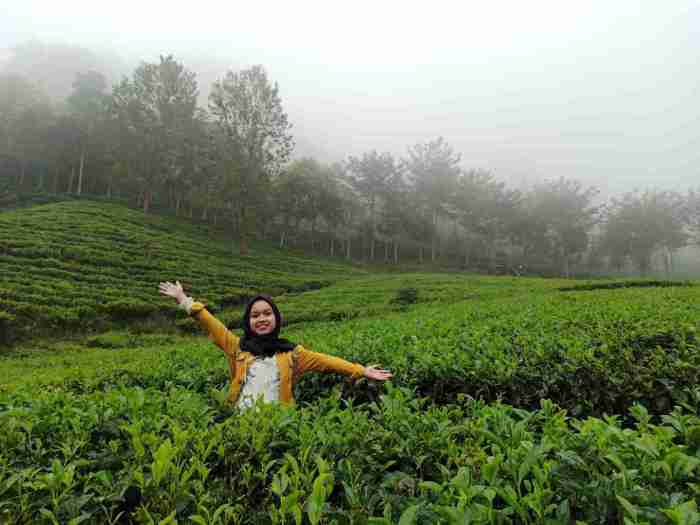 Air terjun sirah kencong