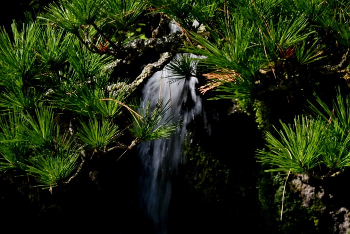 Bonsai Air Terjun Seni Miniatur Menawan