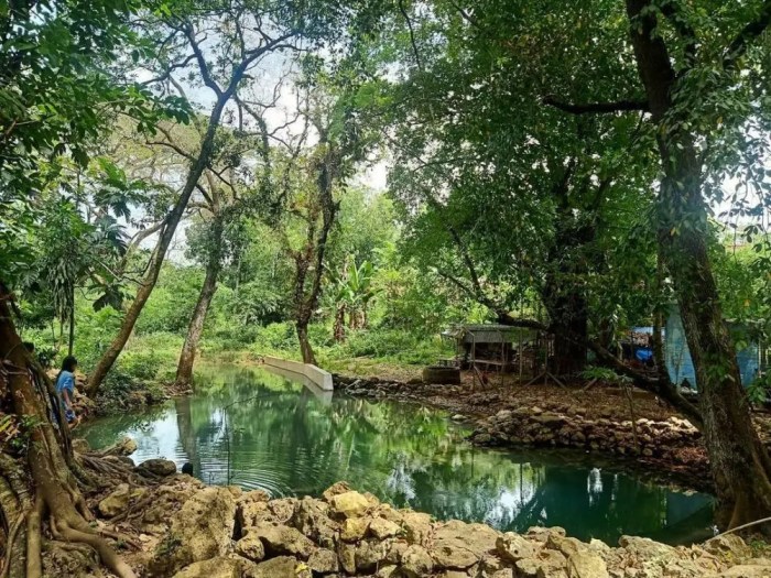 Air terjun kebun raya purwodadi