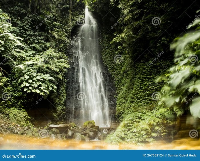 Air terjun ngawi