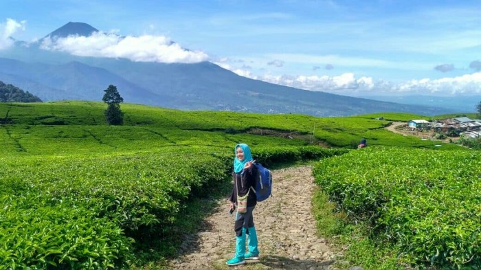 Curug kencana putri sentul wisata terjun refreshing yuk jejakpiknik