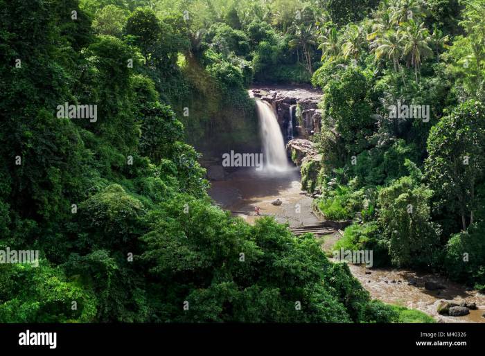 Pesona Air Terjun di Gianyar, Bali