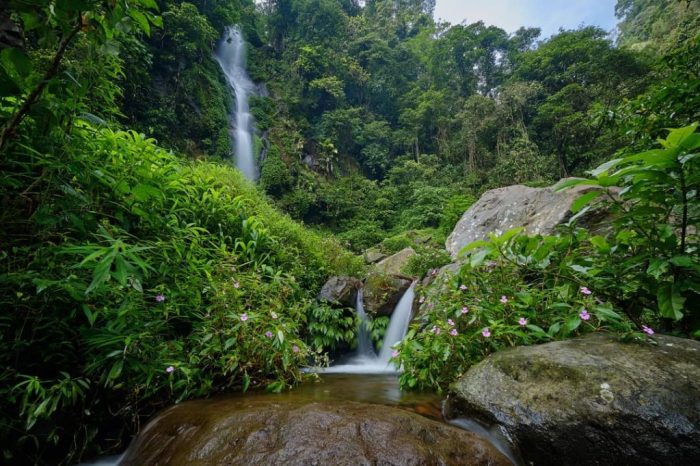 Pesona Air Terjun Semirang Keindahan Alam yang Memikat