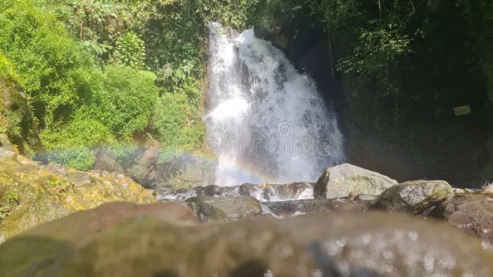 Curug cipamingkis