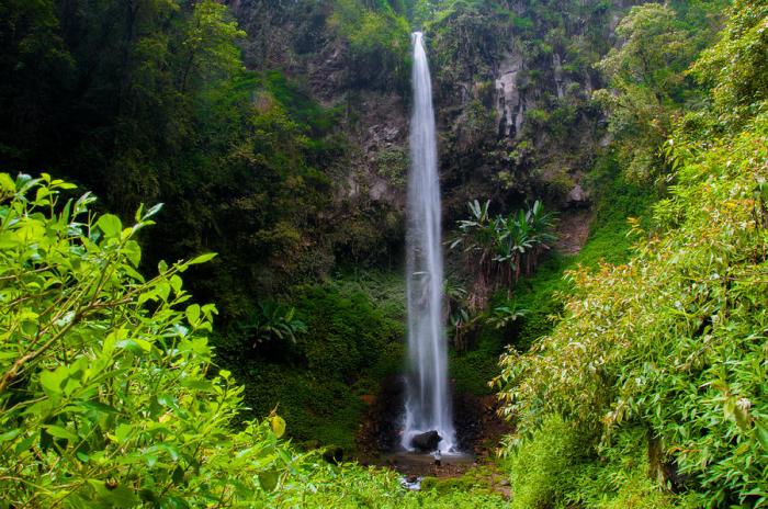 Air Terjun Watu Ondo Pesona Alam Jawa Timur