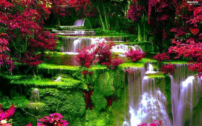 Waterfall flowers wallpapers wallpaper